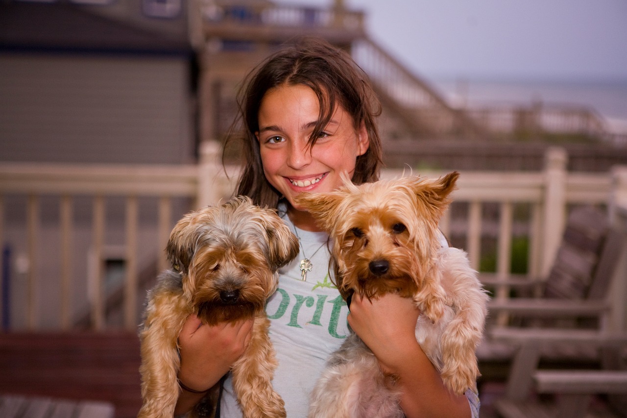 pets 1582196 1280